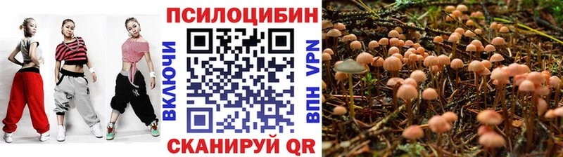 цена наркотик Вытегра Галлюциногенные грибы прущие грибы